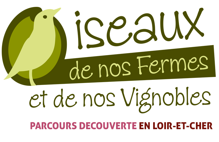 Parcours découverte loir et cher, oiseaux de nos fermes et de nox vignobles , Val de Loire