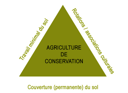 agriculture-de-conservation