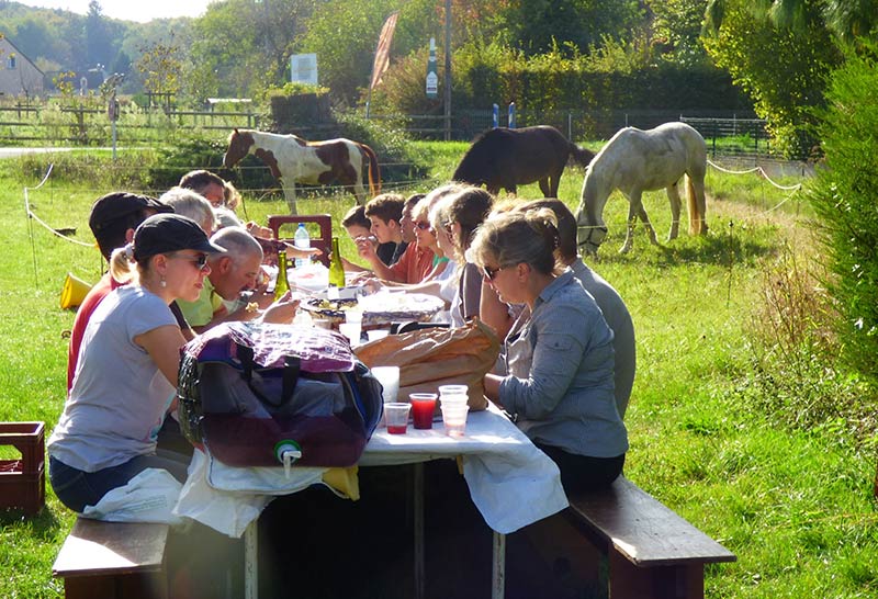 parcours domaine de la mechiniere oiseaux des fermes