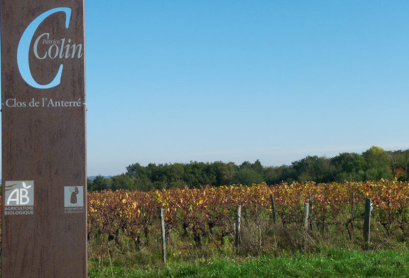 oiseaux de nos fermes parcours domaine colin